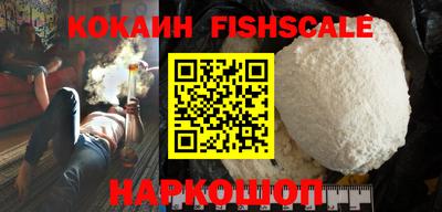 крисы Кулебаки