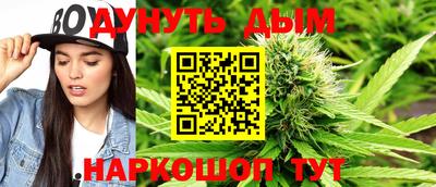 крисы Кулебаки