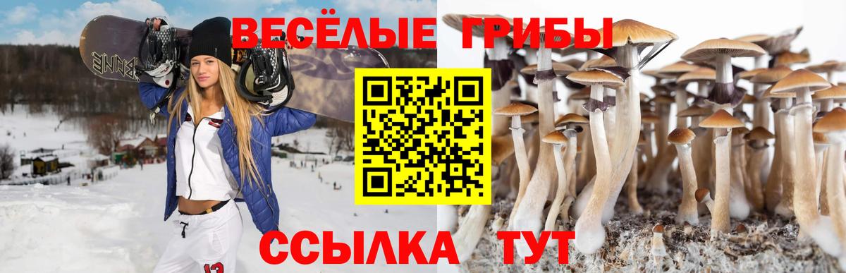 Псилоцибиновые грибы мухоморы  Галлюциногенные грибы мухоморы  Ярцево  Вход с VPN 